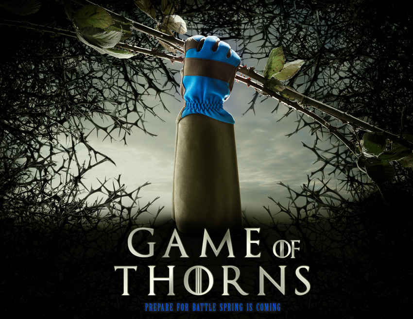 Game of Thorns